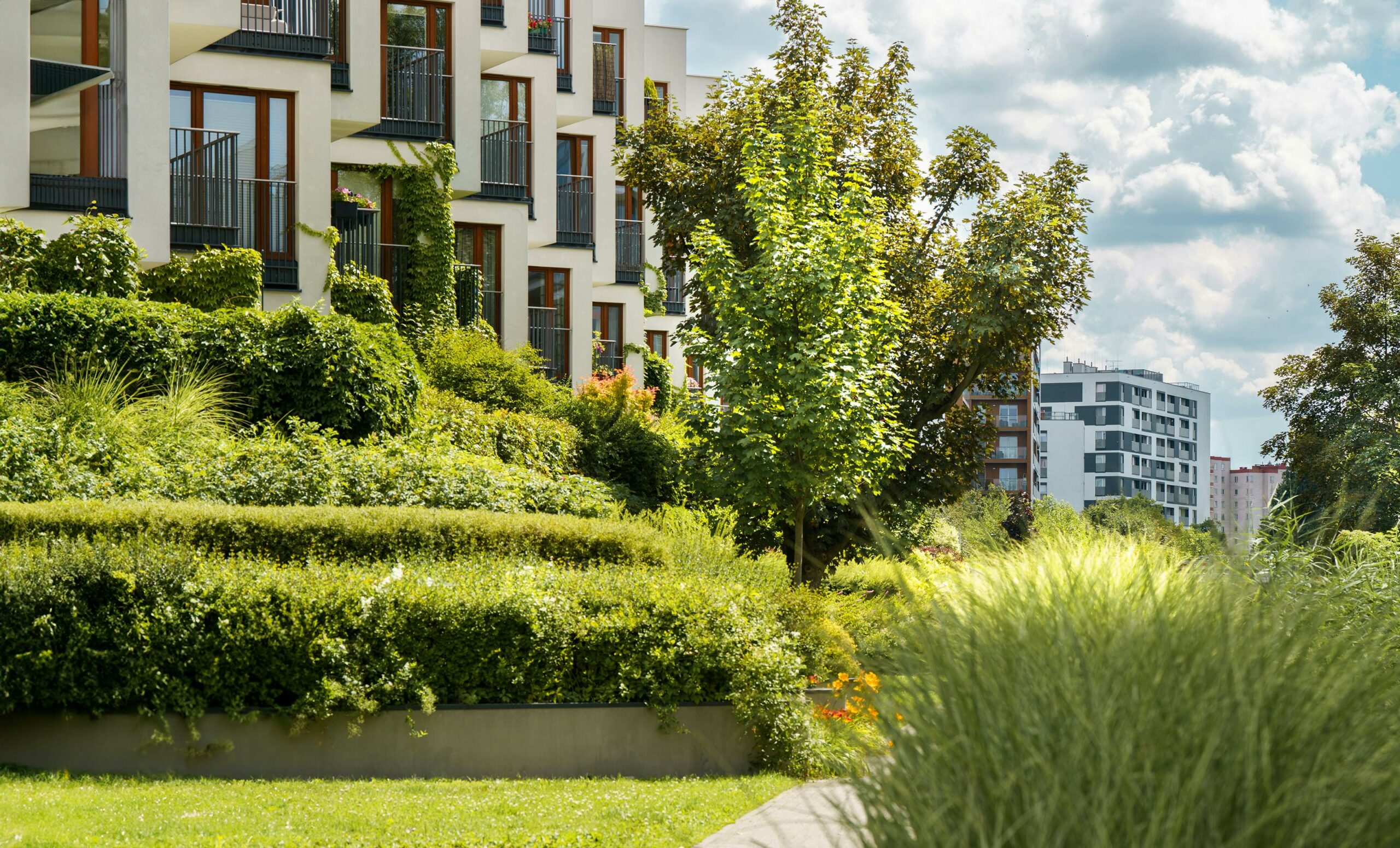 Investir en LMNP en Occitanie